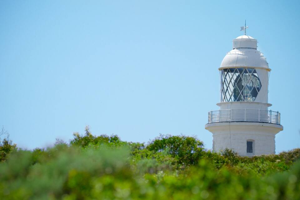 Un faro con una linterna de cristal, rodeado de vegetación.