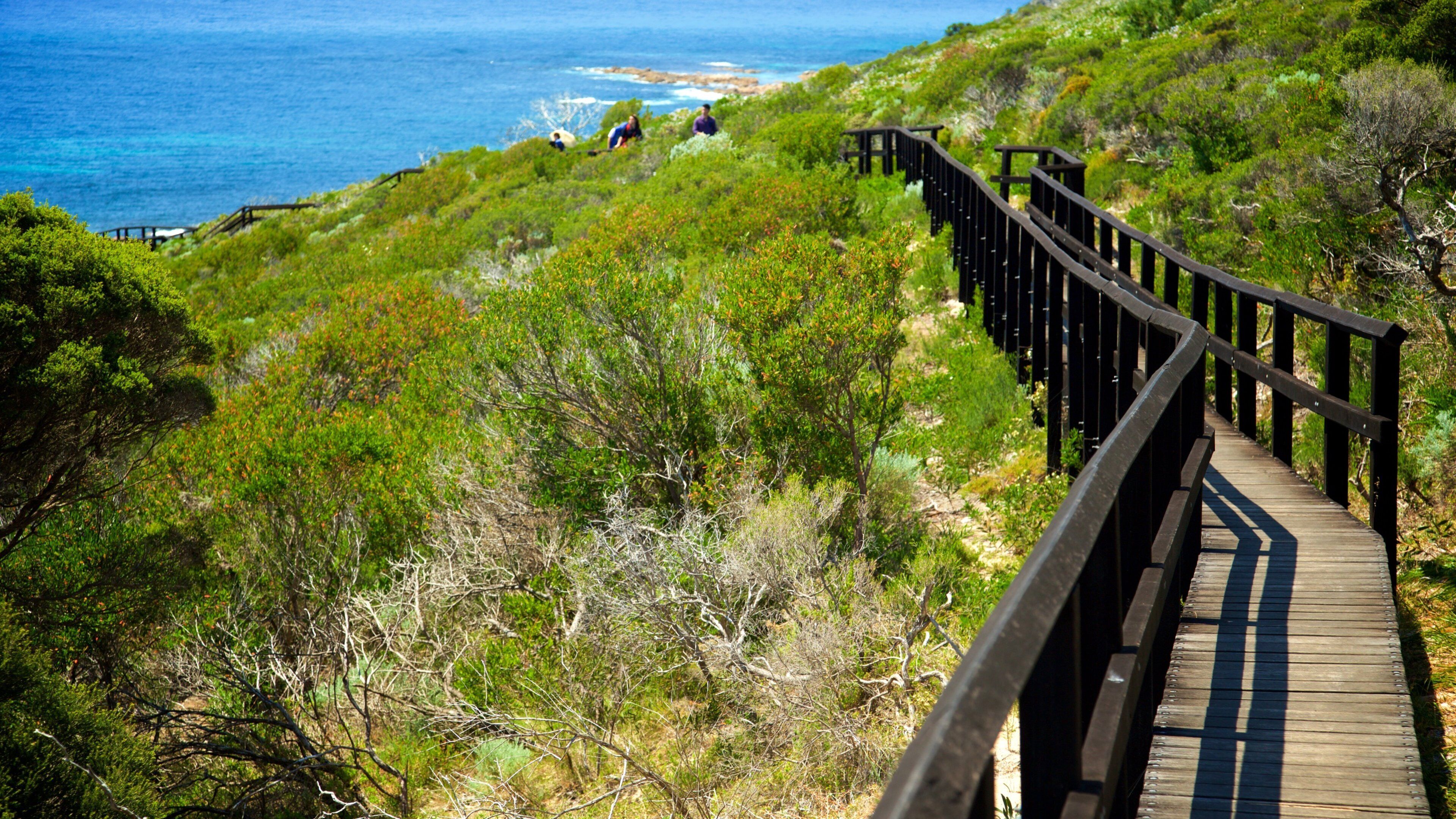 Cape Naturaliste Lighthouse showing general coastal views
