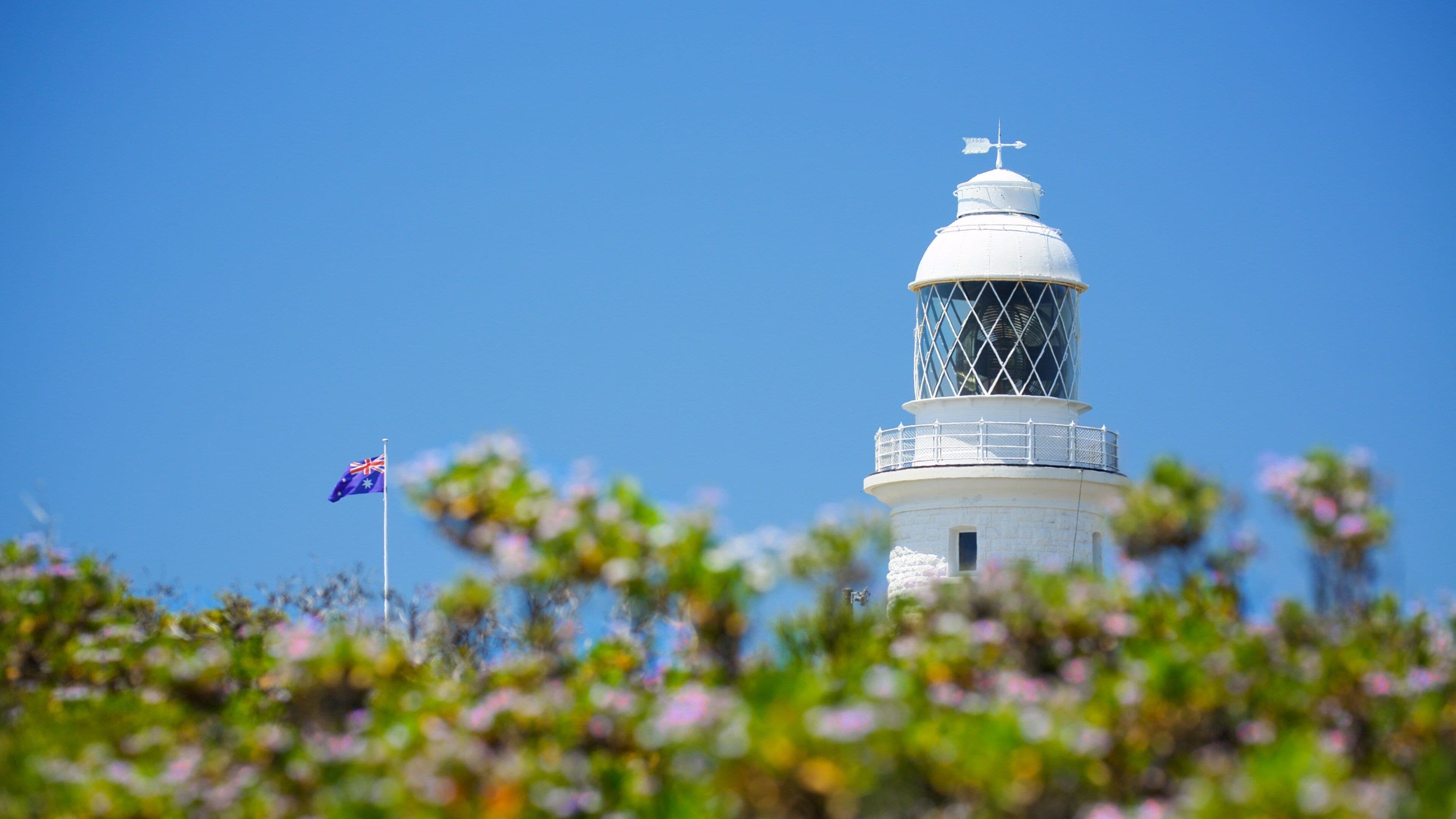 Cape Naturaliste Lighthouse which includes a lighthouse