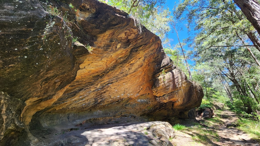Birdwood Gully in Springwood, New South Wales Australia