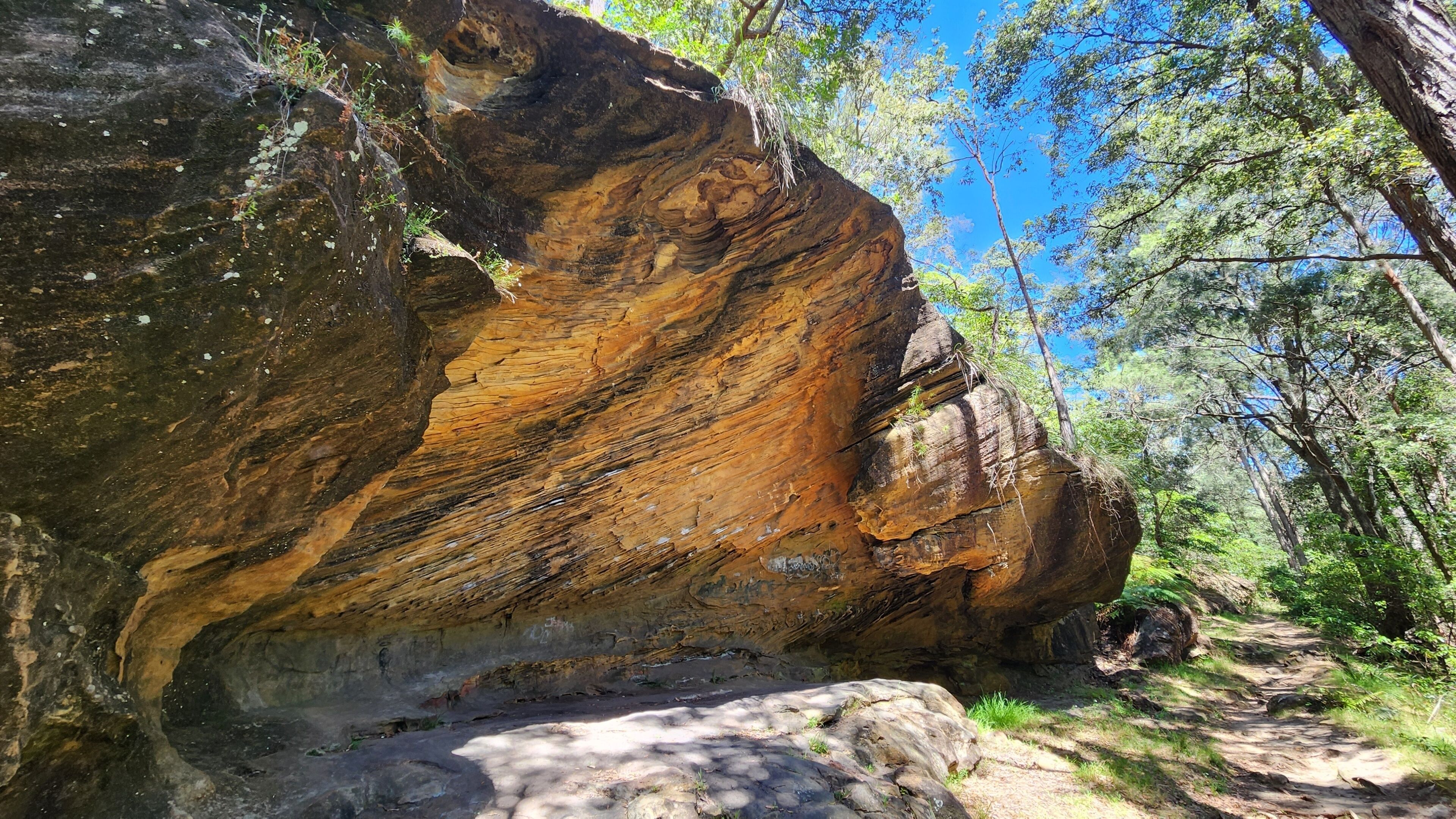A large rock formation with layered strata, surrounded by dense green foliage and a clear blue sky.