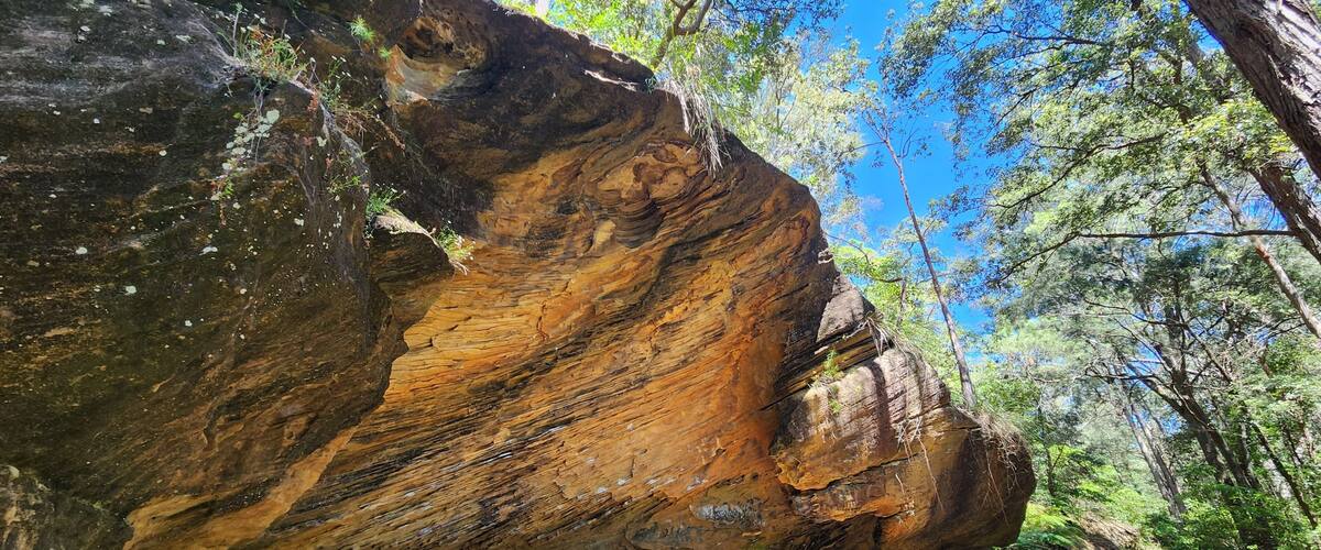 A large rock formation with layered strata, surrounded by dense green foliage and a clear blue sky.