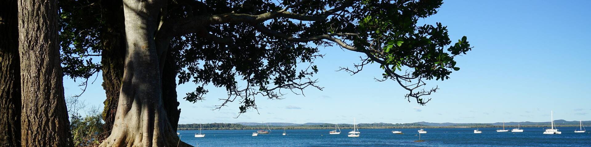 View past trees on the red soil shore to boats on the blue waters of Moreton Bay, with Macleay and Stradbroke Islands on the horizon. Redland Bay, Queensland, Australia