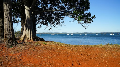 View past trees on the red soil shore to boats on the blue waters of Moreton Bay, with Macleay and Stradbroke Islands on the horizon. Redland Bay, Queensland, Australia