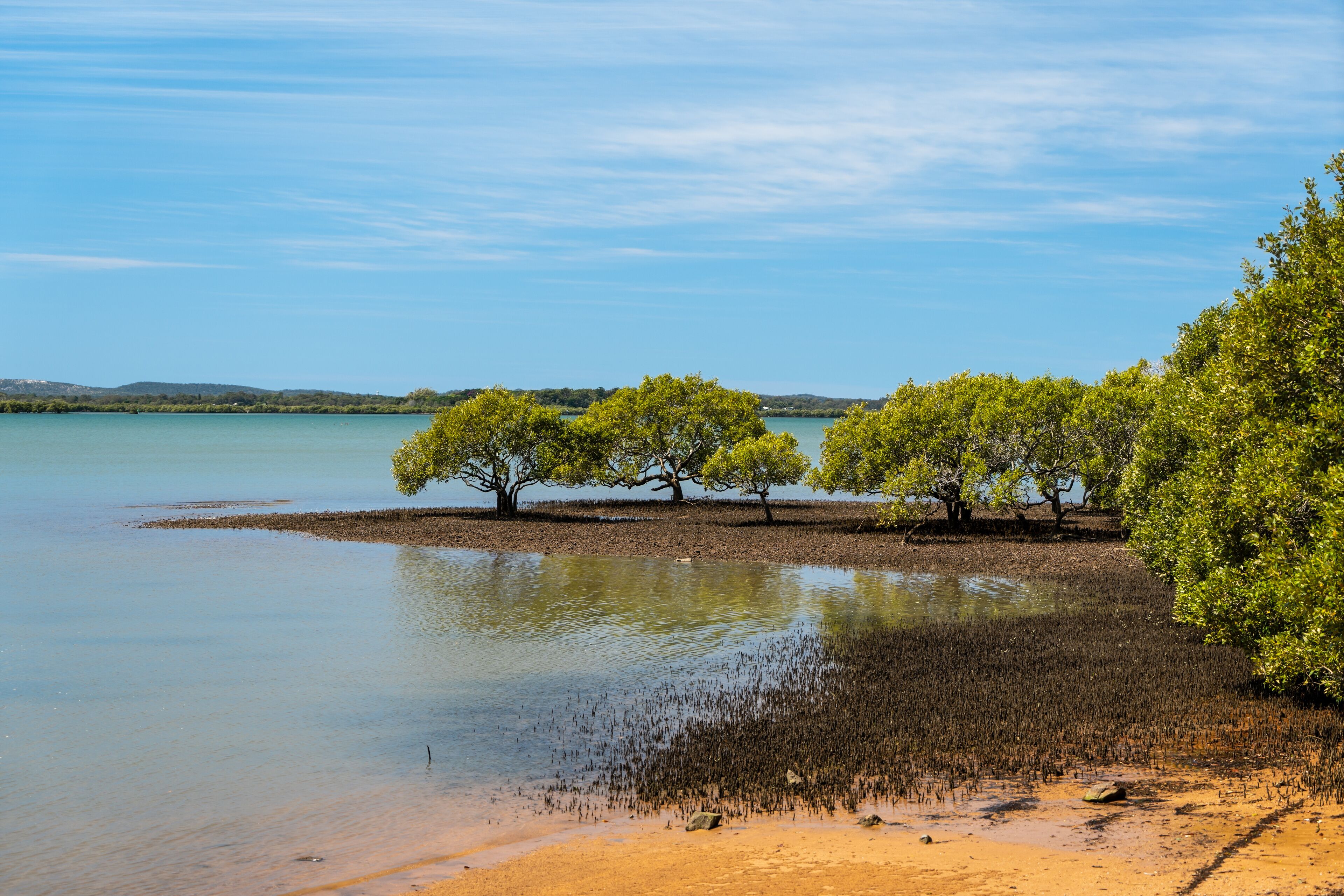 جزيرة ماكلي
