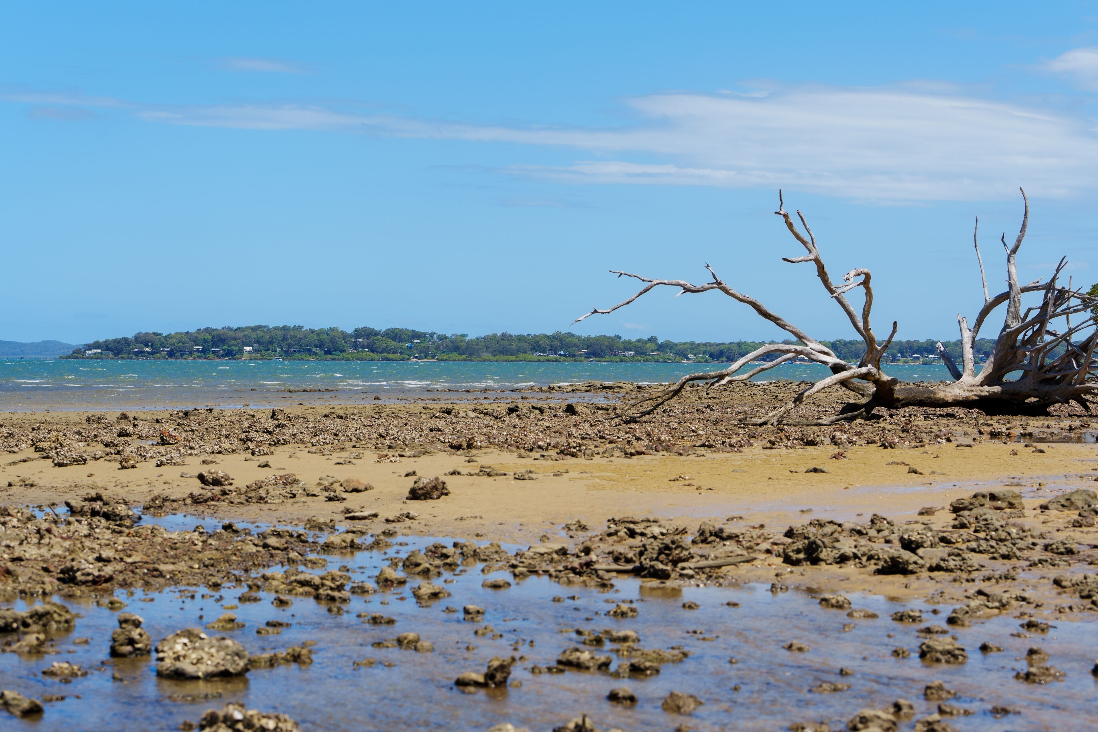 Macleay Island