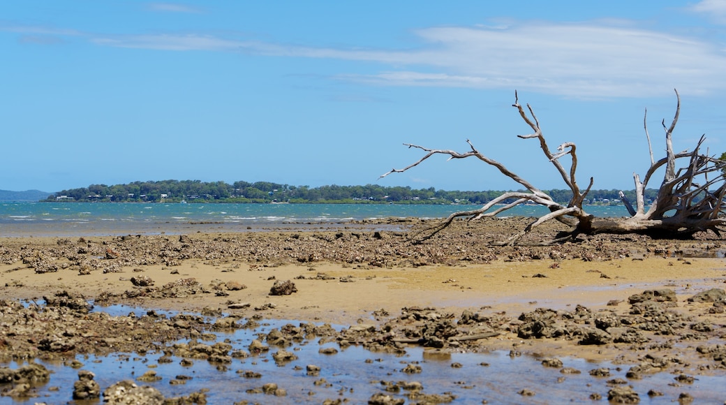 Macleay Island