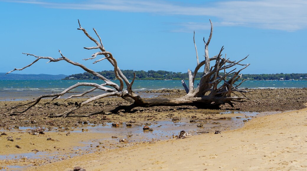 Macleay Island