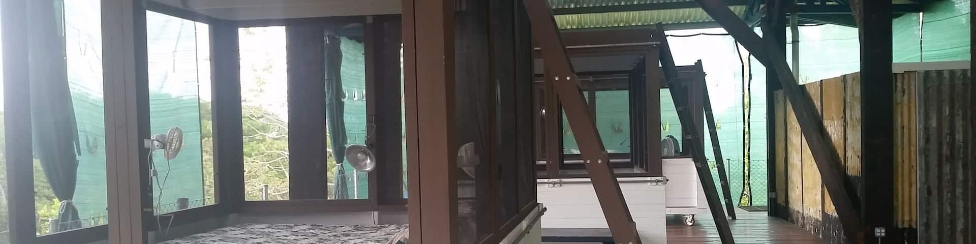 Super cool platforms made of up cycled timbers and materials. The platforms are perched on the top of a hill that overlooks tree tops towards the ocean. We are a seven minute-twelve minute walk to 3 excellent surf breaks. The platforms sleep 9 and include a full kitchen, two full bathrooms, and three "sleeping pods". Rates are as low as $58 a night during the week. Contact at chimene.longwater@gmail.com of Whatsapp at 305-906-1247