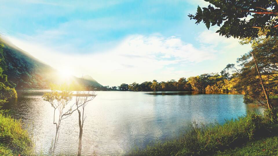 A calm lake surrounded by lush greenery and trees.