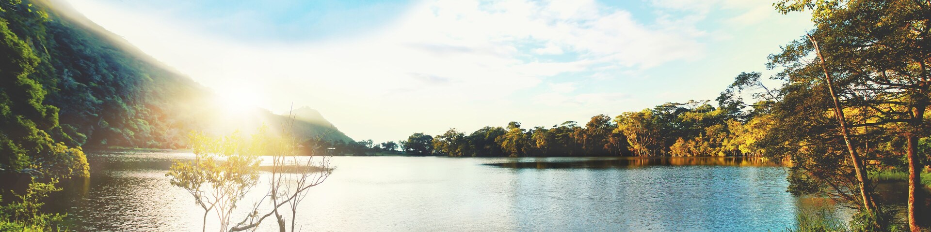 A calm lake surrounded by lush greenery and trees.