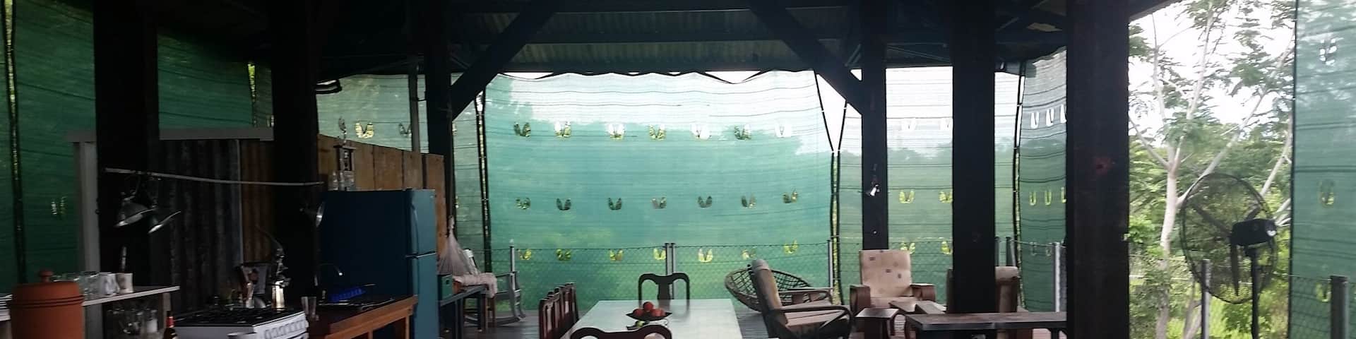 Super cool platforms made of up cycled timbers and materials. The platforms are perched on the top of a hill that overlooks tree tops towards the ocean. We are a seven minute-twelve minute walk to 3 excellent surf breaks. The platforms sleep 9 and include a full kitchen, two full bathrooms, and three "sleeping pods". Rates are as low as $58 a night during the week. Contact at chimene.longwater@gmail.com of Whatsapp at 305-906-1247