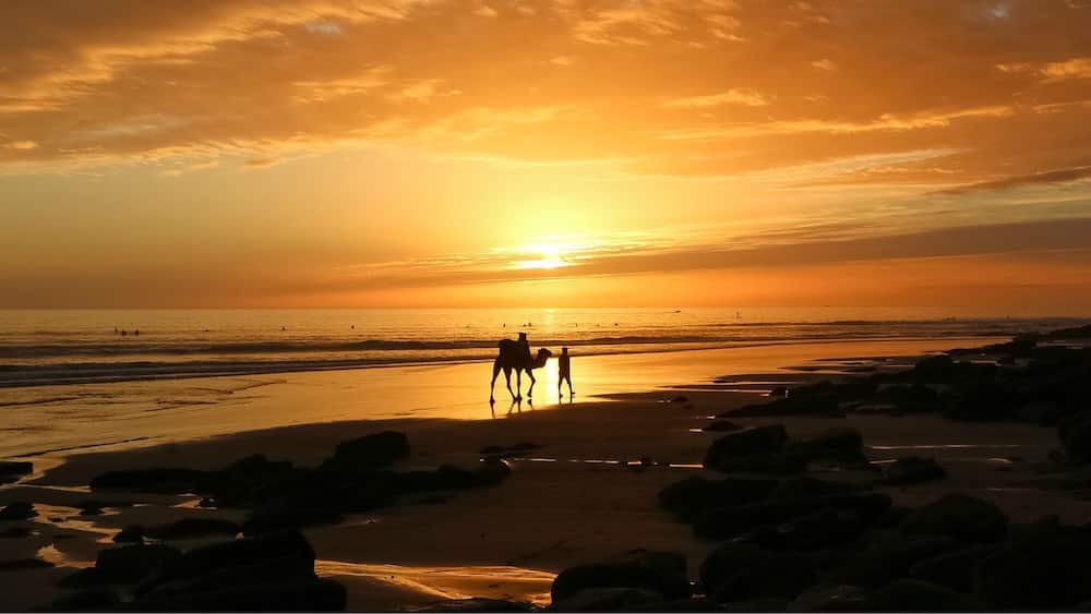 Tagazahout, Morocco sunset đȘ