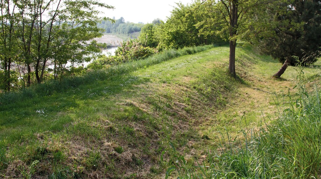 Fiume Reno dall'argine di Malacappa