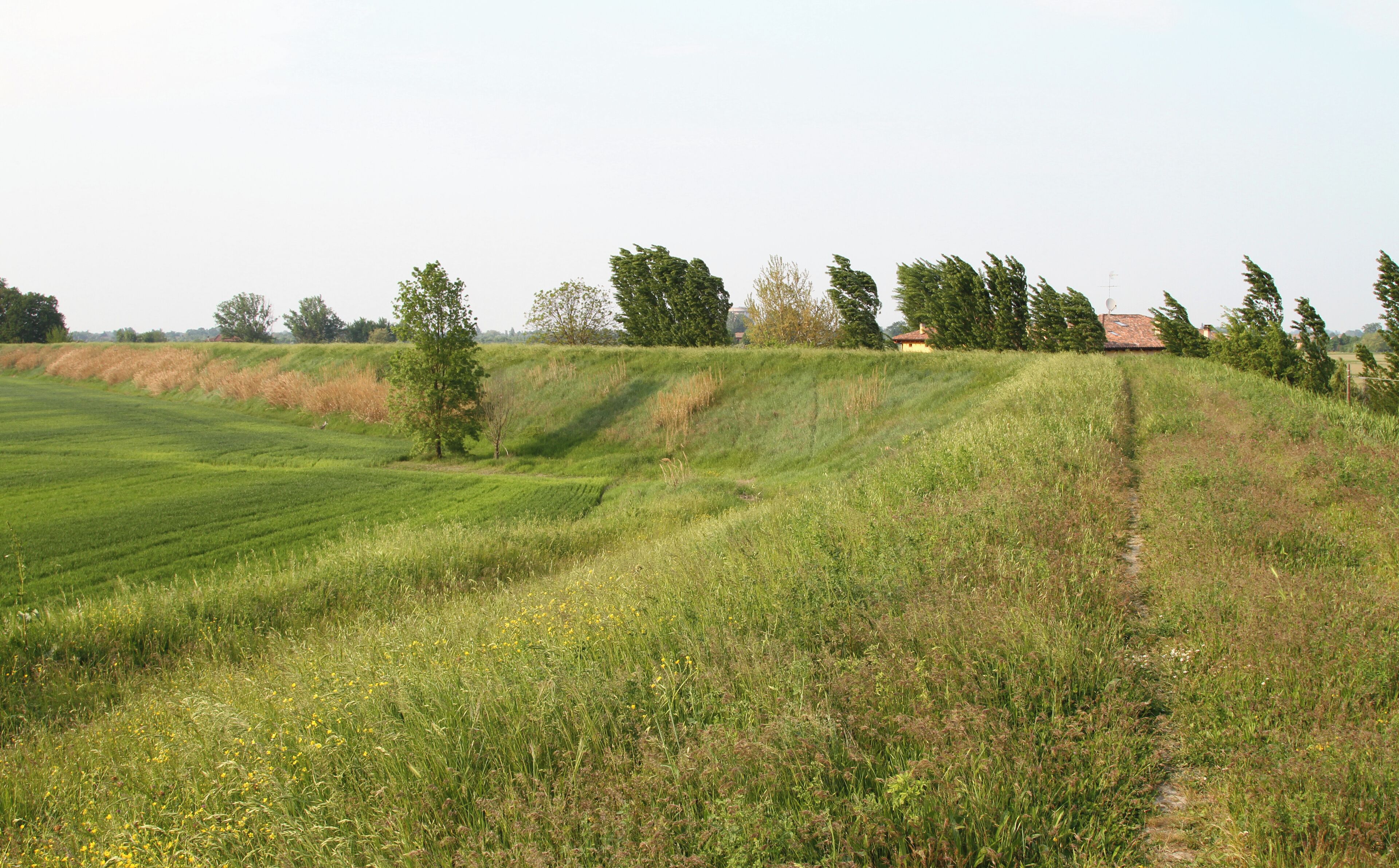 Argine nei pressi di Malacappa