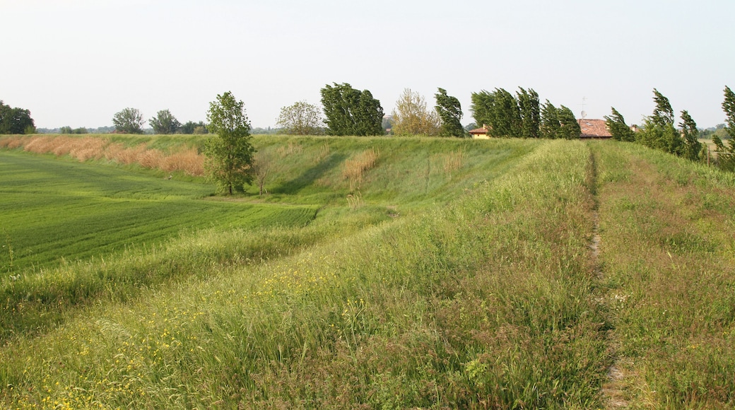 Argine nei pressi di Malacappa