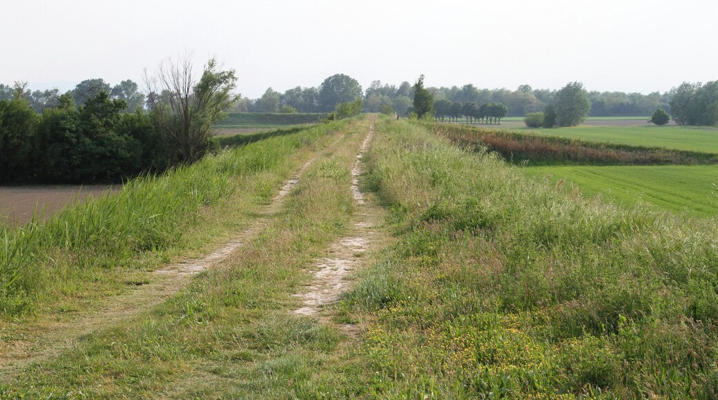 Argine nei pressi di Malacappa