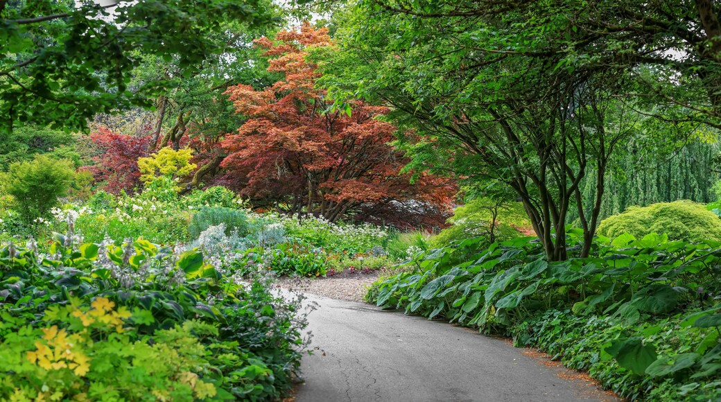 Vandusen botanical gardens in Vancouver city