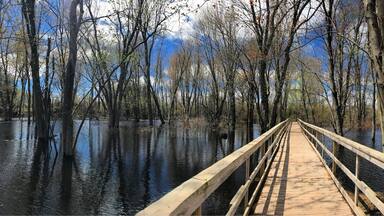 Walking trail and board walks