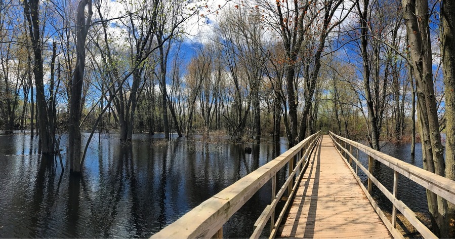 Walking trail and board walks
