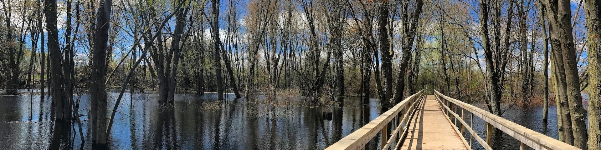 Walking trail and board walks