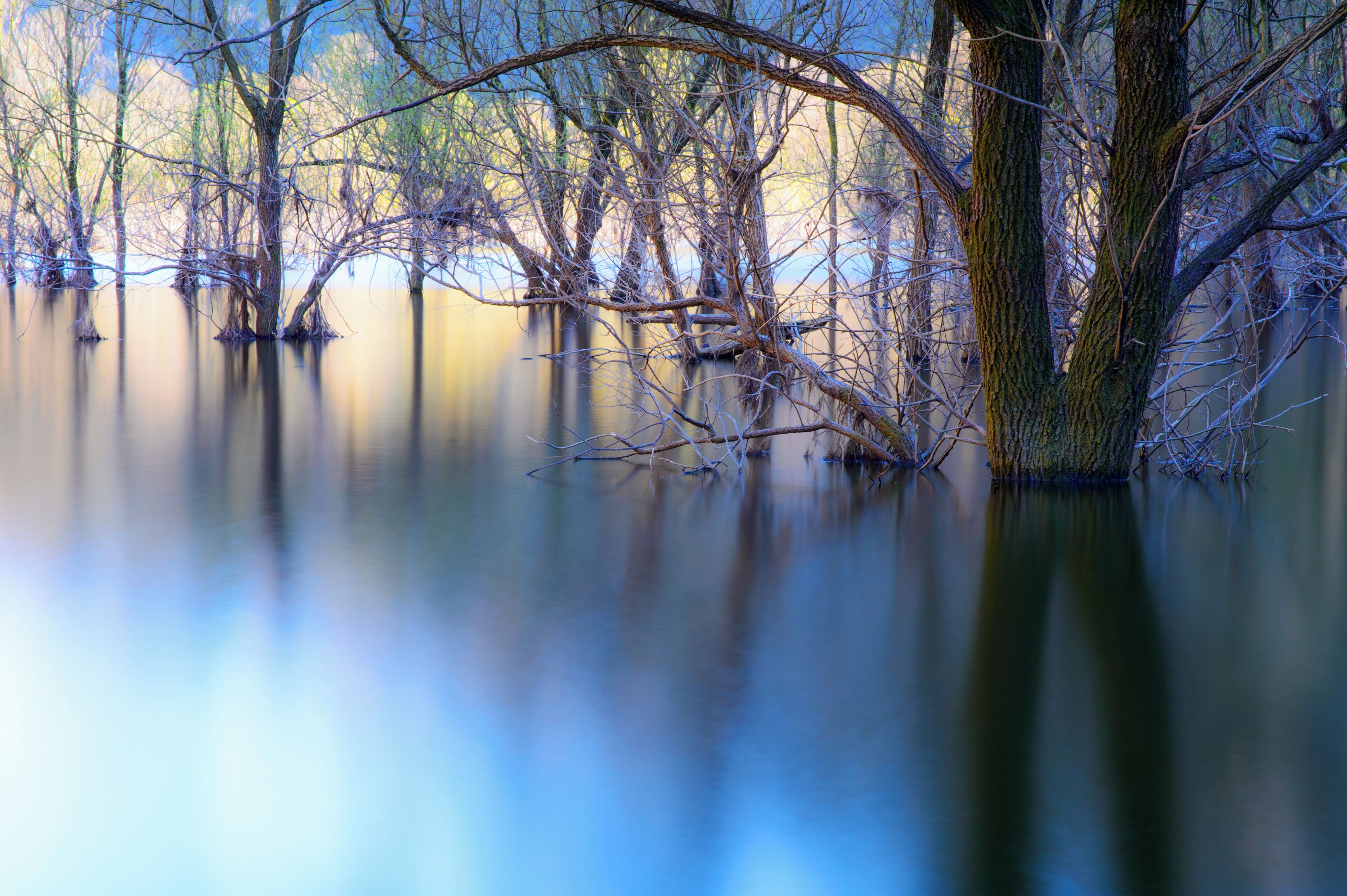 Further authorizations required by the Italian "Code of Cultural Heritage and Landscape" (Codice Urbani), under Legislative Decree No. 42, dated January 22, 2004, and its subsequent amendments, regarding the reuse of the picture. This image reproduces a property belonging to the Italian cultural heritage as entrusted to the Italian government. Such images are regulated by Articles 106 et seq. of the Italian Code of Cultural Heritage and Landscape under Legislative Decree No. 42, dated January 22, 2004, and its subsequent amendments. These regulations, unrelated to copyright regulations, establish a system for the protection of Italy’s historic and artistic heritage and its standards of dignity. Among other things, these regulations provide for the payment of a concession fee by those who intend to benefit economically from reproductions of property belonging to the Italian cultural heritage. Reproduction of this image is permitted for personal use or study. A further authorization by the Italian Ministry of Heritage and Culture is required for reproduction for any other purpose, and particularly for commercial use. Such commercial use includes, but is not limited to, use in (a) any form of advertising, and (b) any company name, logo, trademark, image, activity, or product.