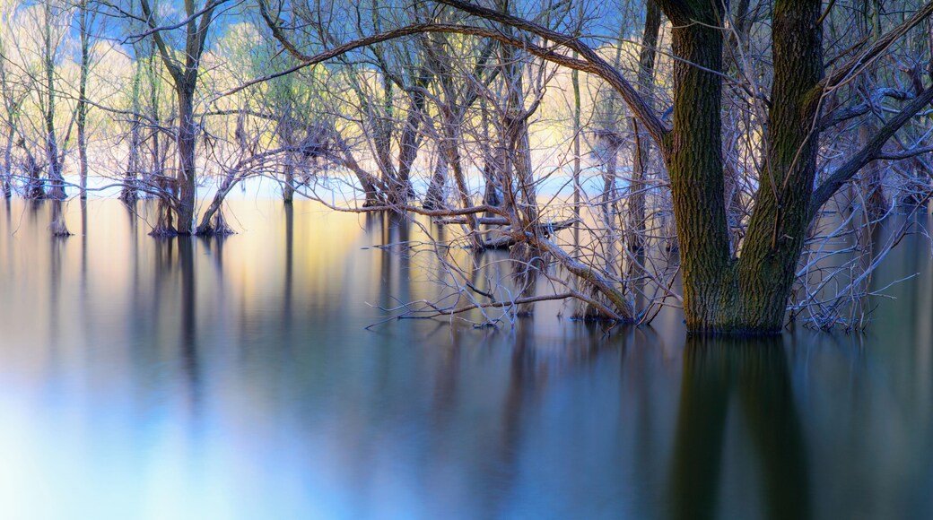 Further authorizations required by the Italian "Code of Cultural Heritage and Landscape" (Codice Urbani), under Legislative Decree No. 42, dated January 22, 2004, and its subsequent amendments, regarding the reuse of the picture. This image reproduces a property belonging to the Italian cultural heritage as entrusted to the Italian government. Such images are regulated by Articles 106 et seq. of the Italian Code of Cultural Heritage and Landscape under Legislative Decree No. 42, dated January 22, 2004, and its subsequent amendments. These regulations, unrelated to copyright regulations, establish a system for the protection of Italy’s historic and artistic heritage and its standards of dignity. Among other things, these regulations provide for the payment of a concession fee by those who intend to benefit economically from reproductions of property belonging to the Italian cultural heritage. Reproduction of this image is permitted for personal use or study. A further authorization by the Italian Ministry of Heritage and Culture is required for reproduction for any other purpose, and particularly for commercial use. Such commercial use includes, but is not limited to, use in (a) any form of advertising, and (b) any company name, logo, trademark, image, activity, or product.