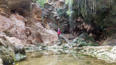 I was there last march with a group of friends. At first it looks like an old dry waterfall, we hiked for a few minutes and found this amazing colorful spot. Great peaceful place to have some rest and fuel up on energy !
#BvSSpring