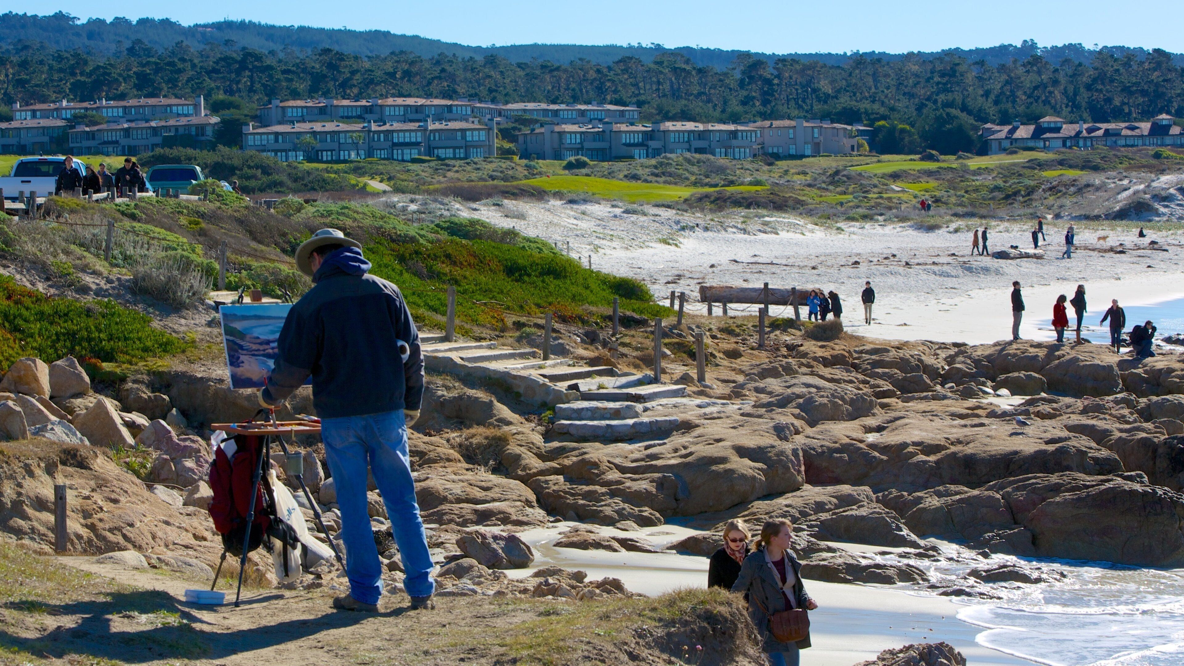 Asilomar State Beach showing rugged coastline, a small town or village and landscape views