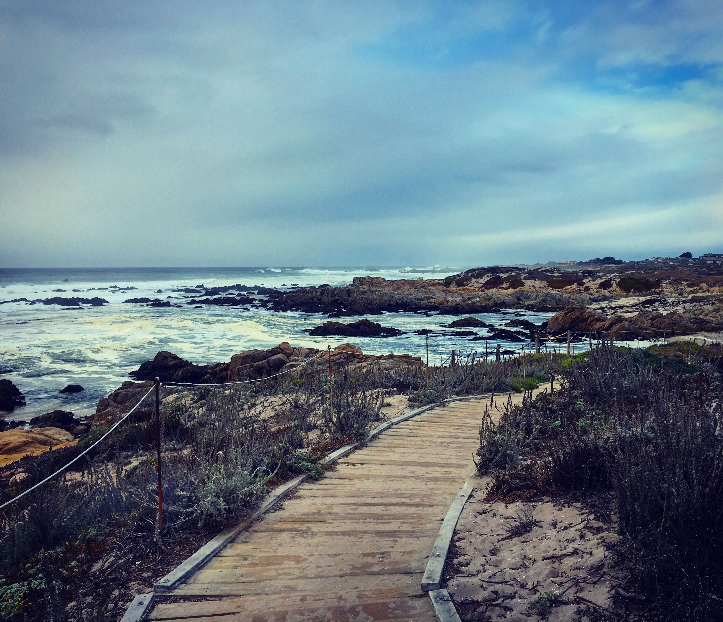 Hands down one of the most beautiful places on the planet. The eco system here is so diverse, and whether you crave adventure or solitude, you'll find it here. This rugged coastline should be on everyone's bucket list.  Monterey, California to Morro Bay has been touted by National Geographic as one of the best road trips of a lifetime. Do it, it's true!
#BeachBound