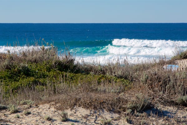 Plage d\'état d\'Asilomar mettant en vedette surf et vues littorales