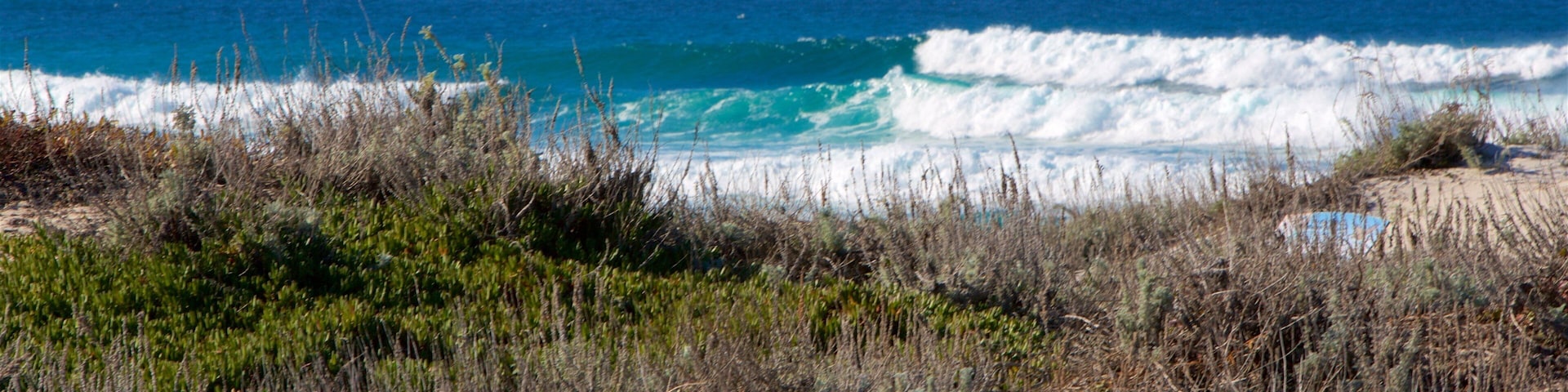 Asilomar State Beach das einen allgemeine Küstenansicht und Brandung