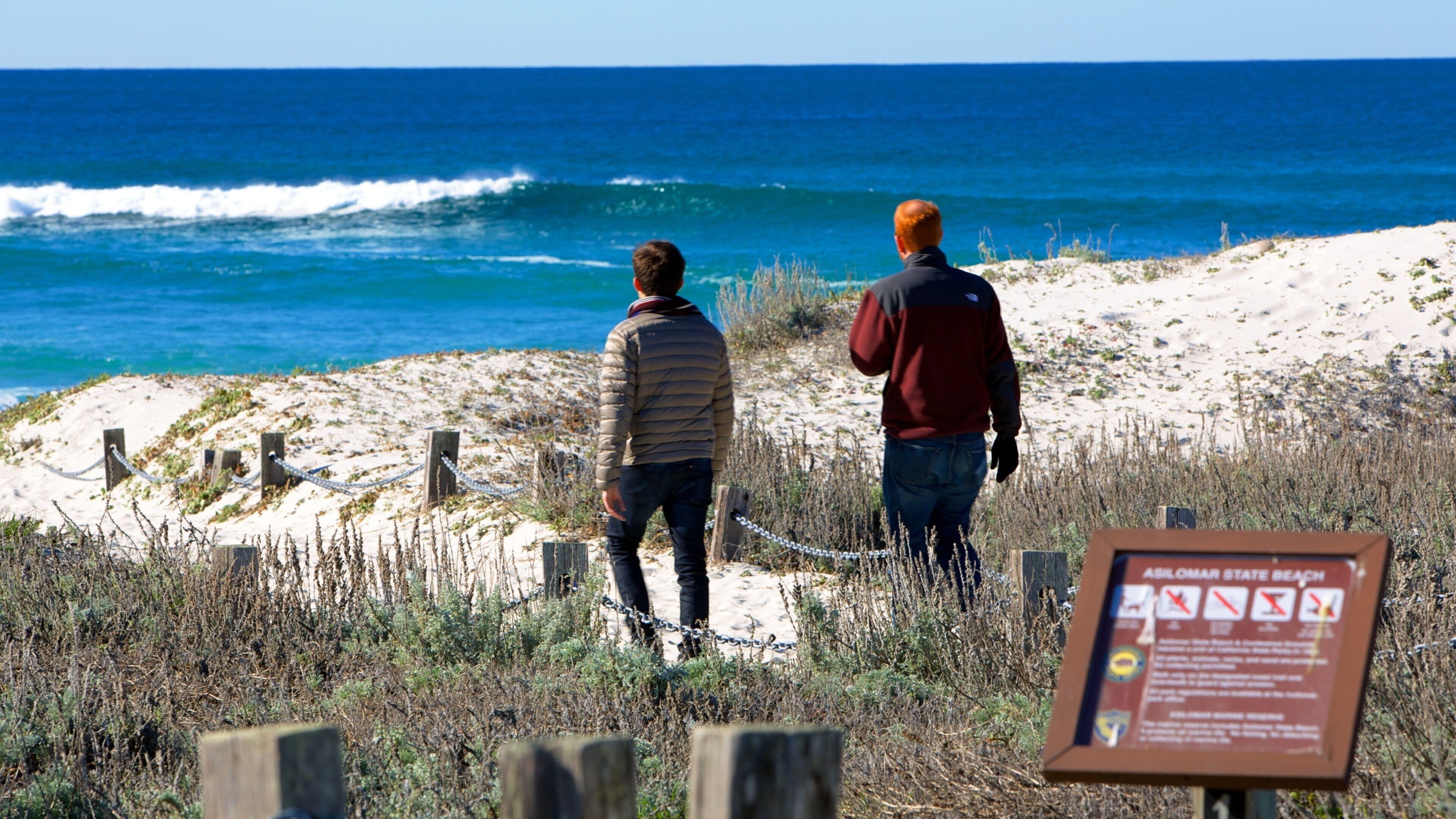 Dos personas caminando por una playa arenosa con un letrero que indica PLAYA ESTADO ASBOLMAR.