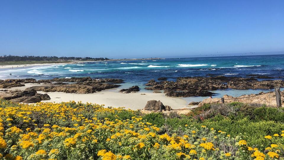 Where the white sandy beaches, large rock formations and crystal blue ocean meet. Asilomar has it all ✨