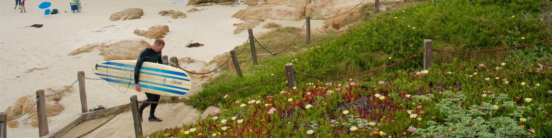 Asilomar State Beach showing rocky coastline, general coastal views and a sandy beach
