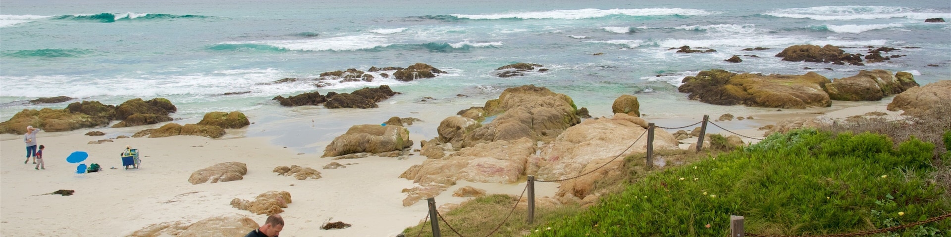Asilomar State Beach showing rocky coastline, general coastal views and a sandy beach