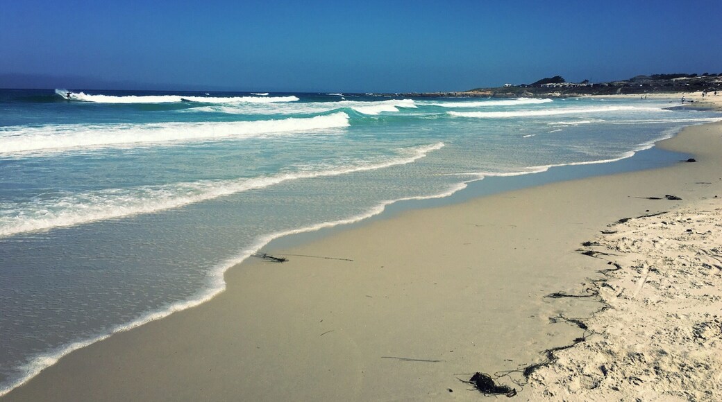 Asilomar State Beach is part of the Asilomar Marine Reserve and is popular with surfers.