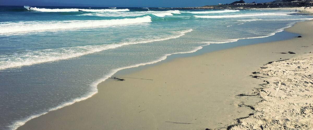 Asilomar State Beach is part of the Asilomar Marine Reserve and is popular with surfers.