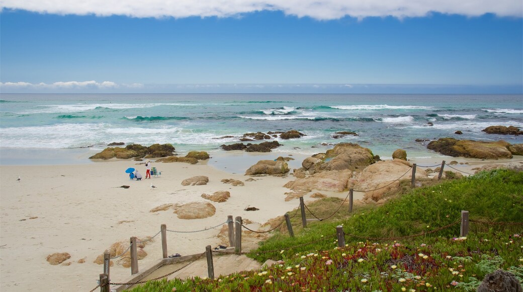 Asilomar State Beach which includes landscape views, general coastal views and a sandy beach