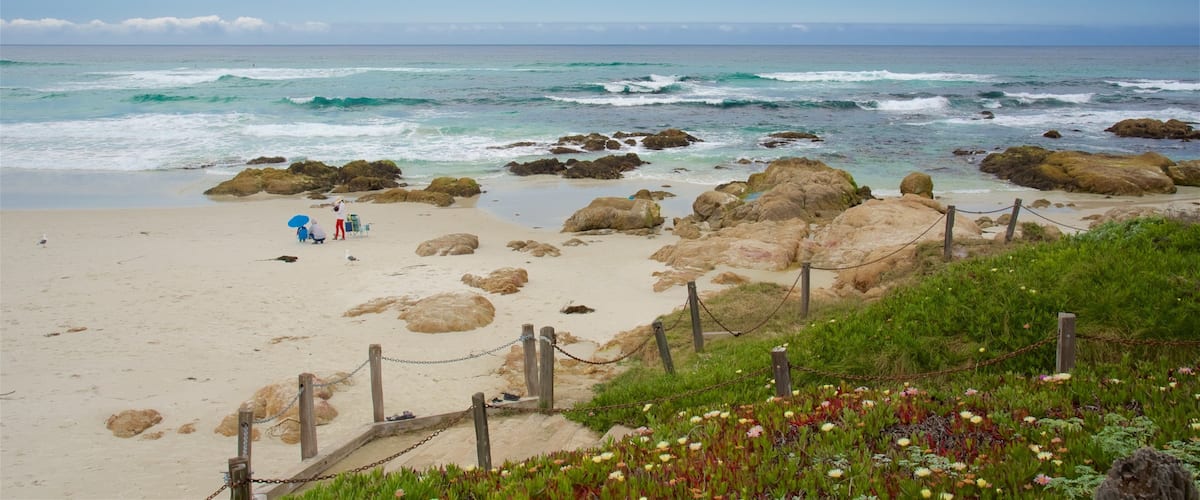 Asilomar State Beach featuring landscape views, rugged coastline and a sandy beach