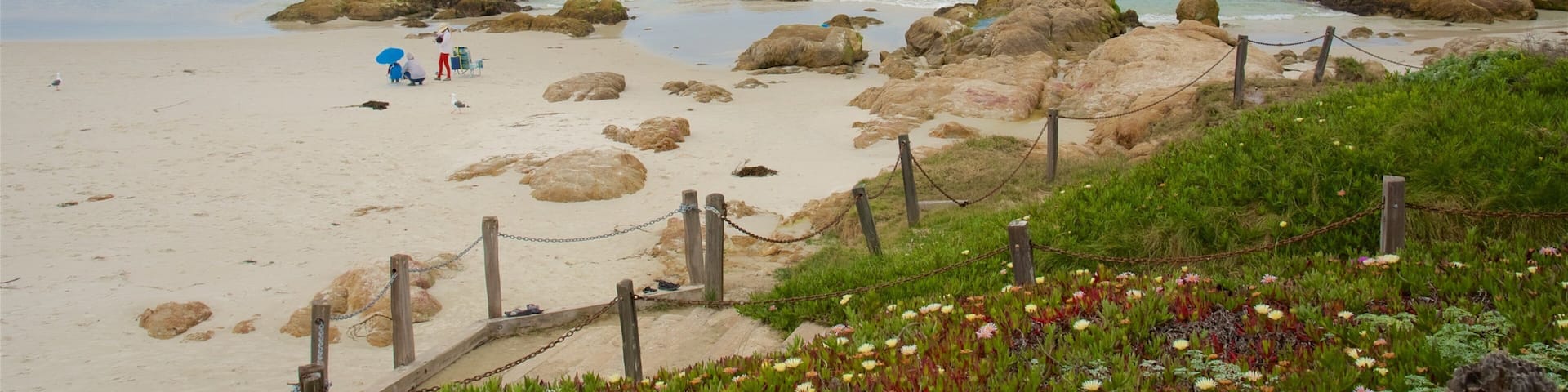 アジロマー ステート ビーチ 表示 ビーチ, 荒々しい海岸線 と 海岸線の眺め