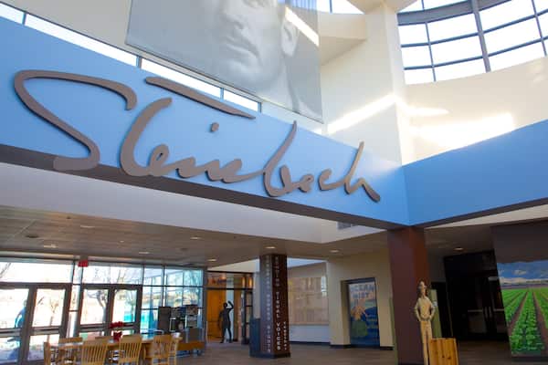 A modern building with a large sign reading "Stieboch" and a mural of a field.