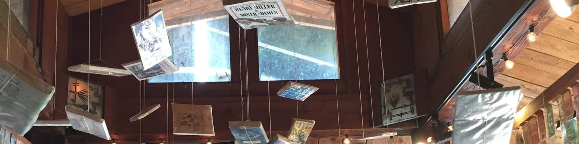 Henry Miller Library, Big Sur. Books floating in the air. Amid a grove of huge redwood trees, with dinner and sunset at Nepenthe, it was a perfect day.