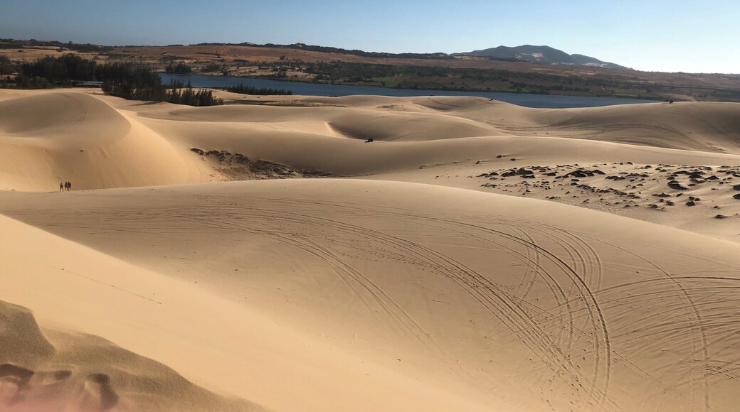 “No matter how long I wait, how long I travelled but I will never stop to look for the oasis in the desert of life and quench my soul to be alive. “
White Sand Dunes
Discover The White Sand Dunes of Vietnam in Hòa Thắng, Vietnam: A desert in southeast Asia, complete with a beautiful lake covered in lotus flowers.
#vietnam #photography #nature #travel #adventure #wonderer #muine #vacation