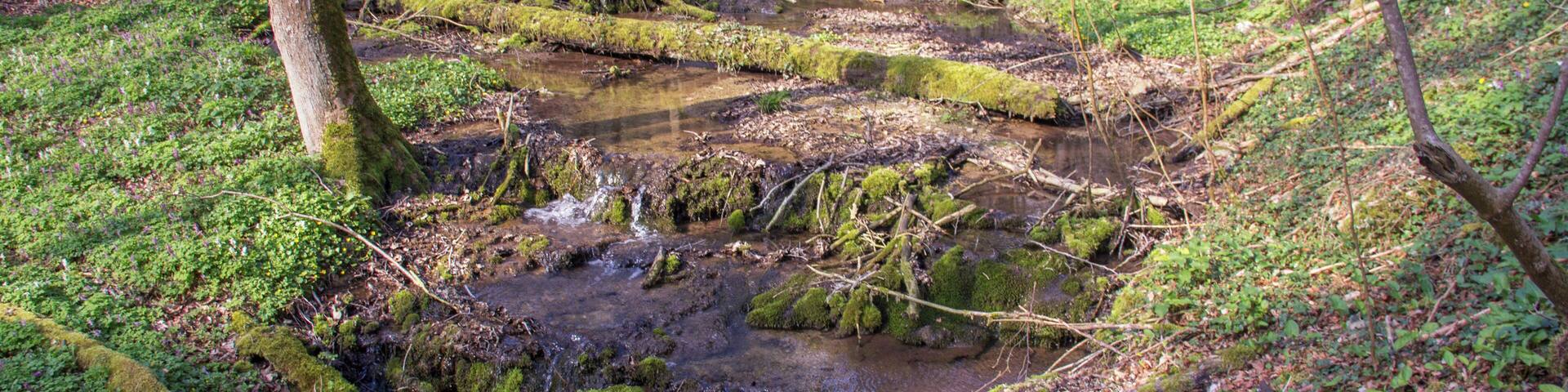 Kuhbachtal, Hausen, Röckenhofen, Naturschutzgebiet Kuhbachtal bei Hausen, Landschaftsschutzgebiet und Naturpark Altmühltal, FFH-Gebiet Trauf der südlichen Frankenalb