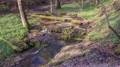 Kuhbachtal, Hausen, Röckenhofen, Naturschutzgebiet Kuhbachtal bei Hausen, Landschaftsschutzgebiet und Naturpark Altmühltal, FFH-Gebiet Trauf der südlichen Frankenalb