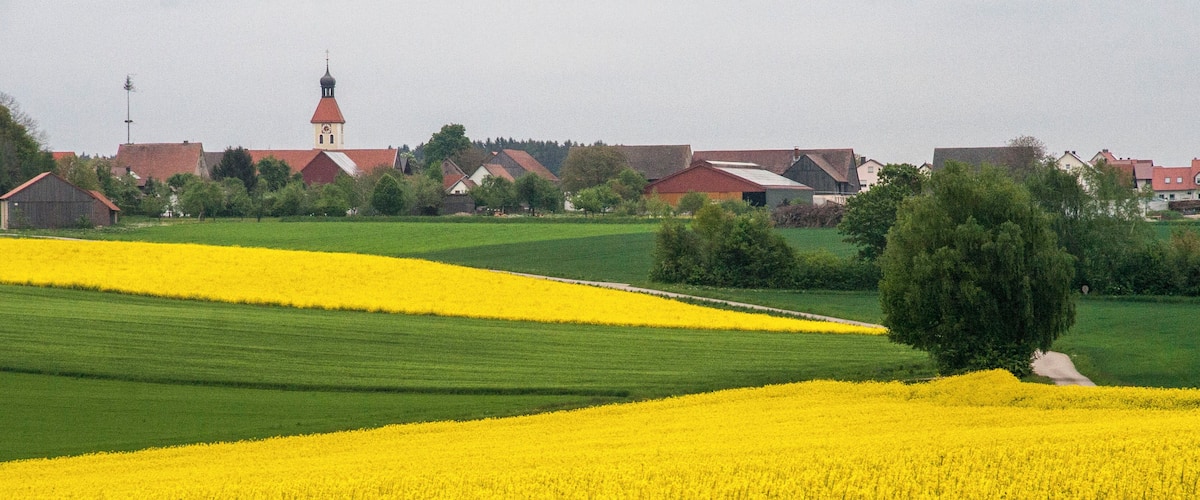 Naturpark Altmühltal, Österberg, Raps