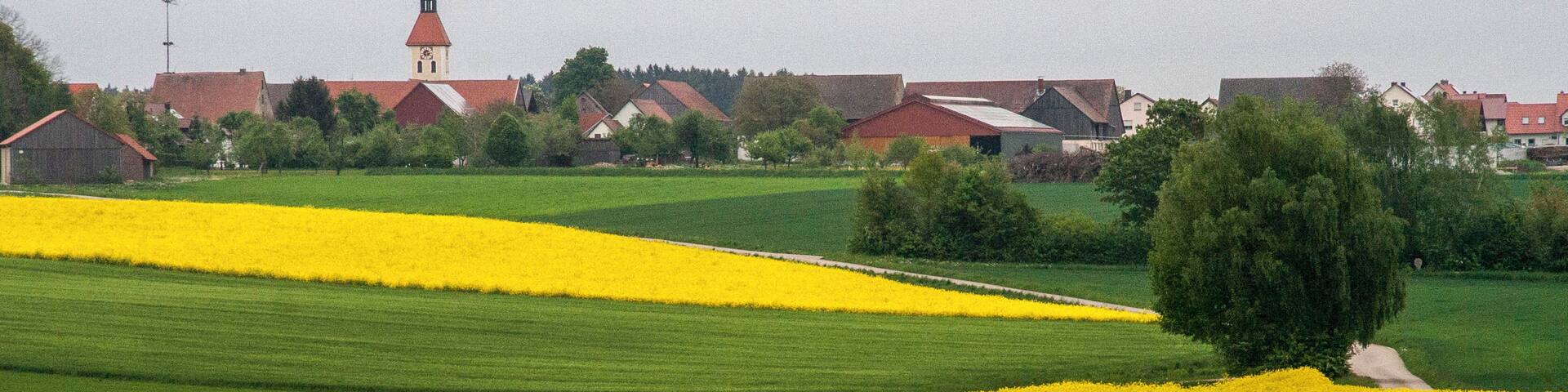 Naturpark Altmühltal, Österberg, Raps