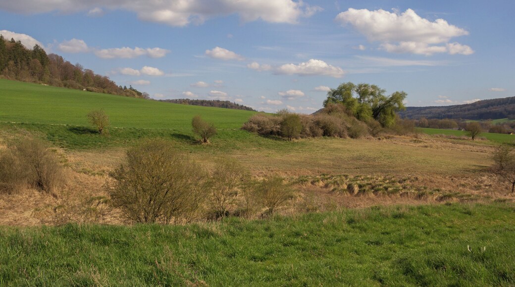 Kuhbachtal, Hausen, Röckenhofen, Naturschutzgebiet Kuhbachtal bei Hausen, Landschaftsschutzgebiet und Naturpark Altmühltal, FFH-Gebiet Trauf der südlichen Frankenalb