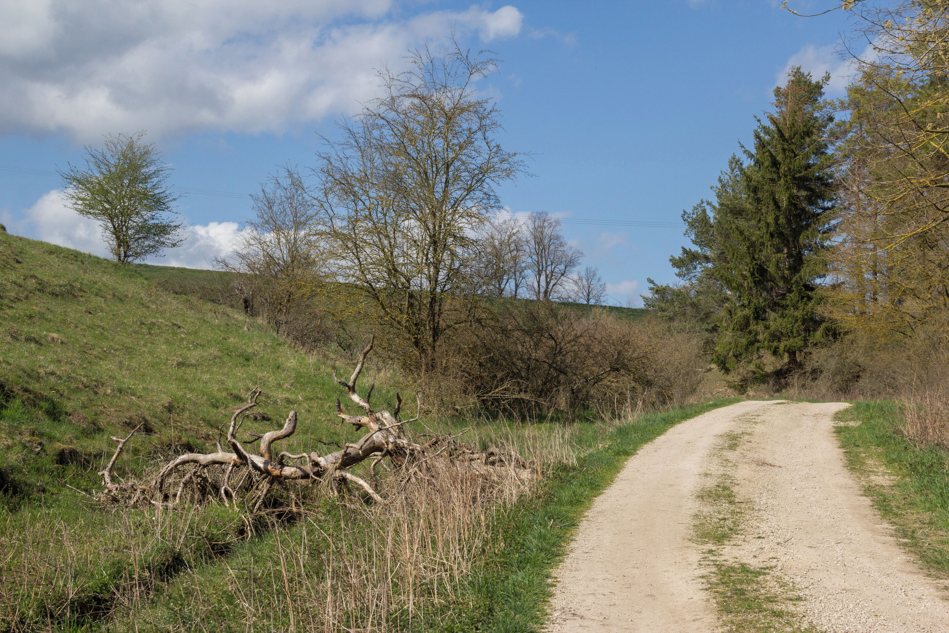 Kuhbachtal, Hausen, Röckenhofen, Naturschutzgebiet Kuhbachtal bei Hausen, Landschaftsschutzgebiet und Naturpark Altmühltal, FFH-Gebiet Trauf der südlichen Frankenalb